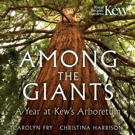 Among the Giants