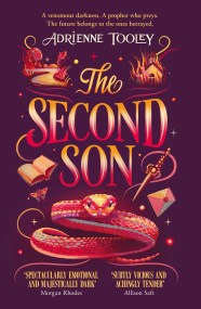 The Second Son