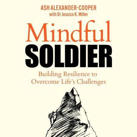 Mindful Soldier