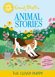 Reading Champion: Enid Blyton Animal Stories: The Clever Puppy