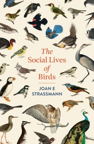 The Social Lives of Birds