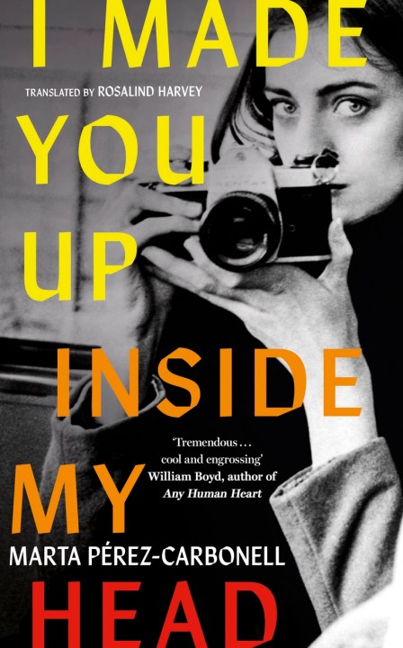 I Made You Up Inside My Head