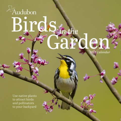Audubon Birds in the Garden Wall Calendar 2027