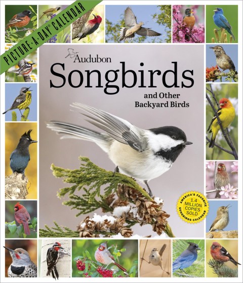Audubon Songbirds and Other Backyard Birds Picture-A-Day® Wall Calendar 2027