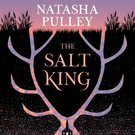 The Salt King
