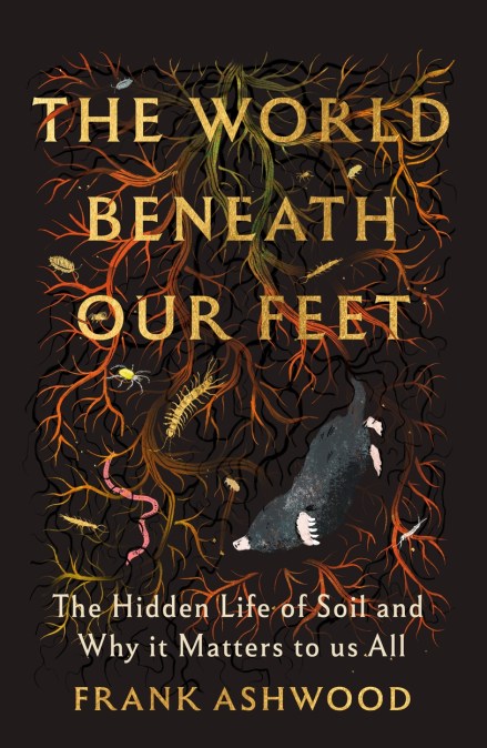 The World Beneath Our Feet