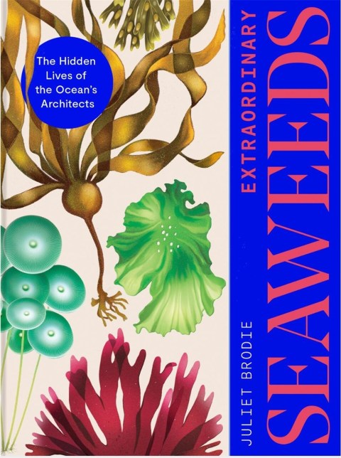 Extraordinary Seaweeds