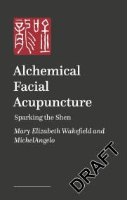 Alchemical Facial Acupuncture
